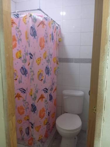 Imagen de galería