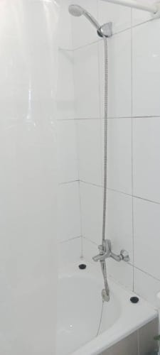 Imagen de galería