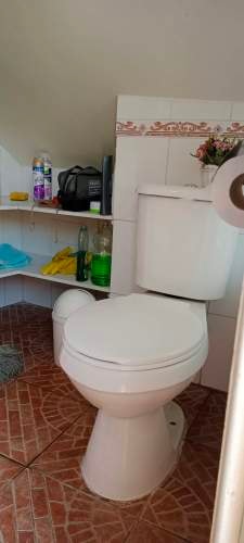 Imagen de galería