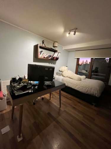 Imagen de galería