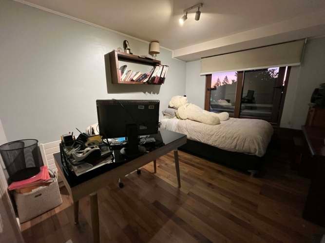 Imagen de galería