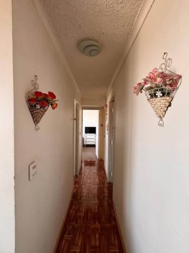 Imagen de galería